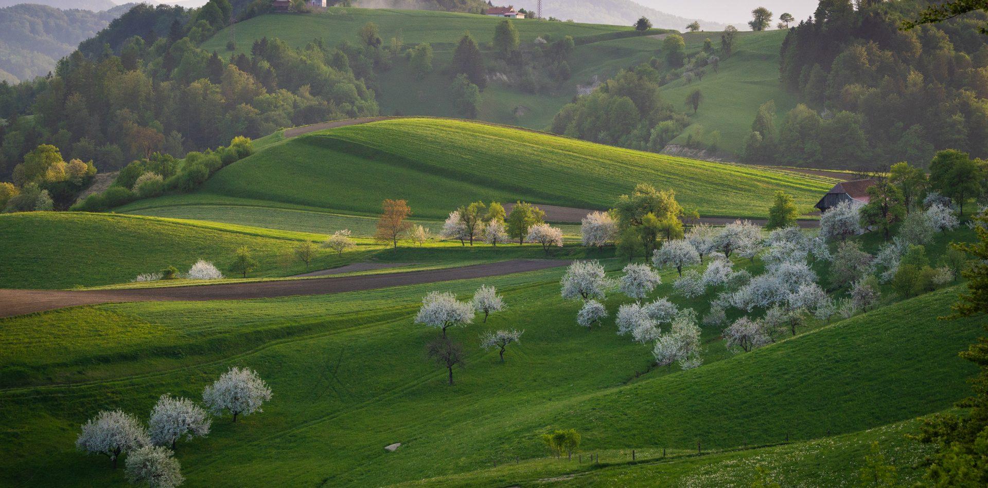Kozjanska krajina s sadovnjaki